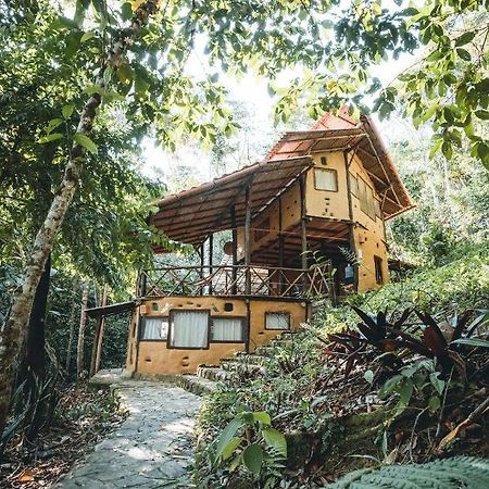 Chirapa Manta Amazon Lodge Lamas Kültér fotó