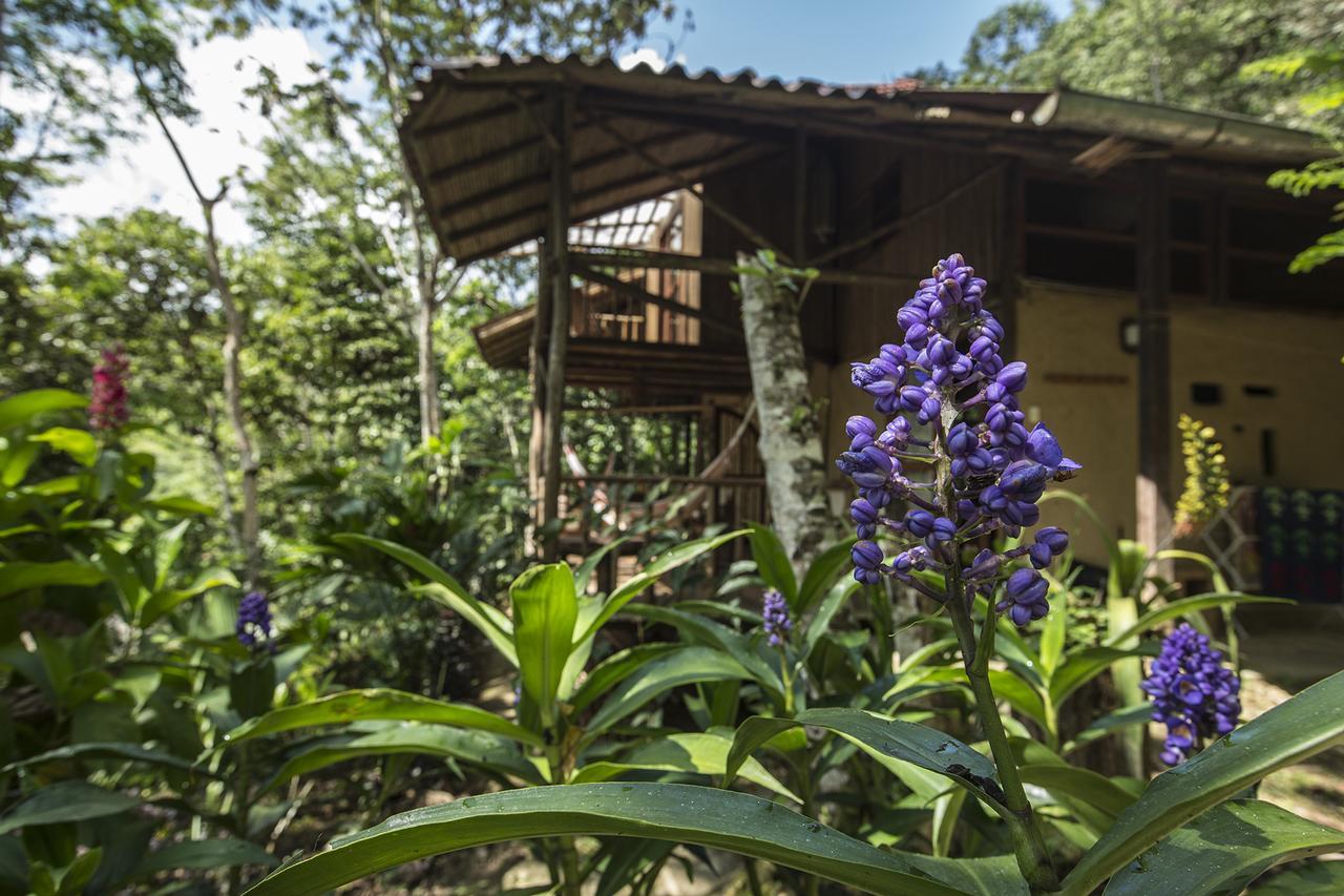 Chirapa Manta Amazon Lodge Lamas Kültér fotó