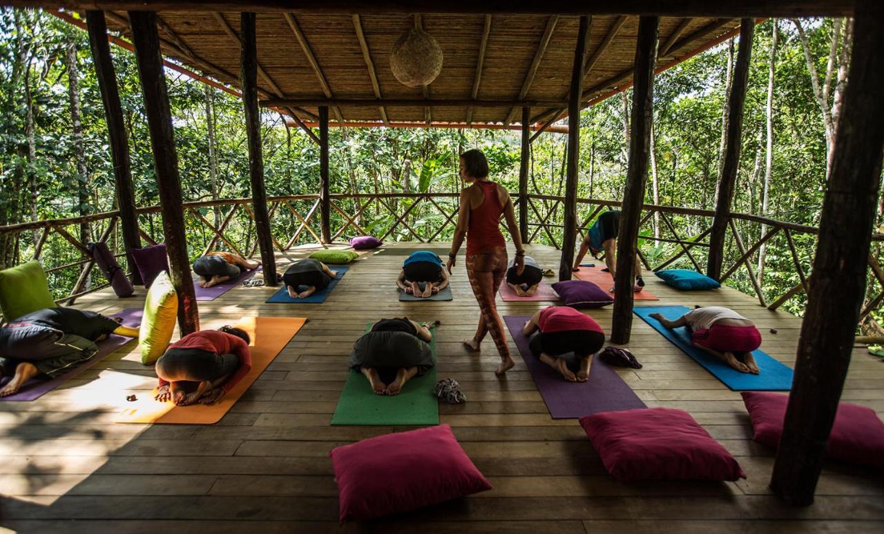Chirapa Manta Amazon Lodge Lamas Kültér fotó