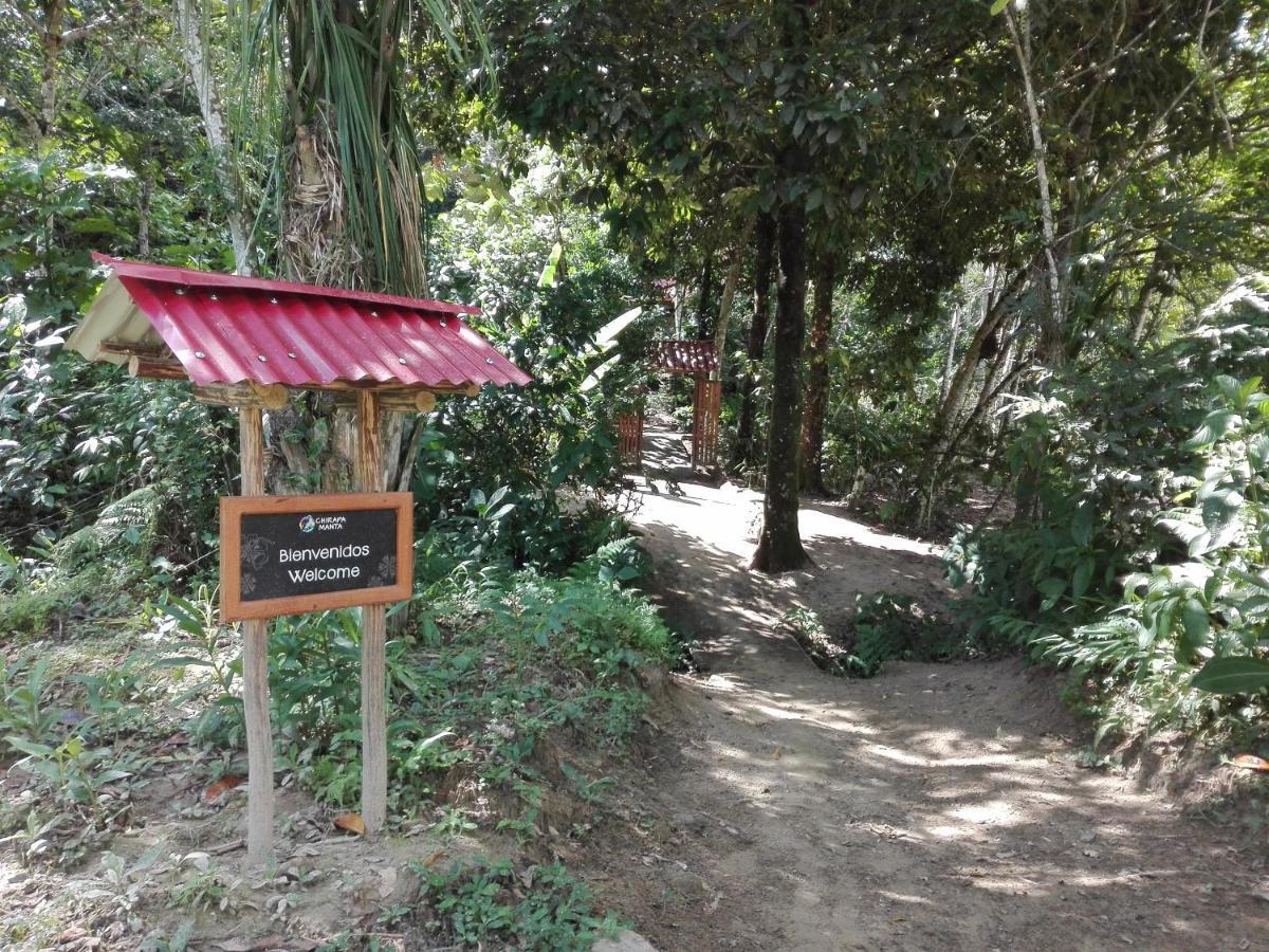 Chirapa Manta Amazon Lodge Lamas Kültér fotó