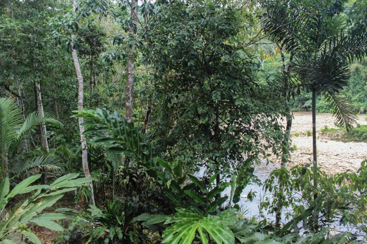 Chirapa Manta Amazon Lodge Lamas Kültér fotó