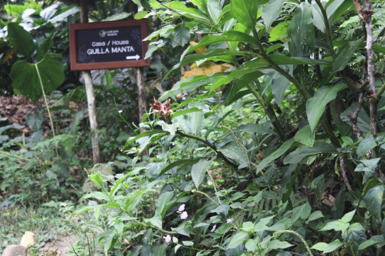 Chirapa Manta Amazon Lodge Lamas Kültér fotó
